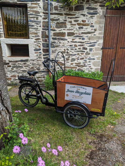 Cargo Triporteur Electrique